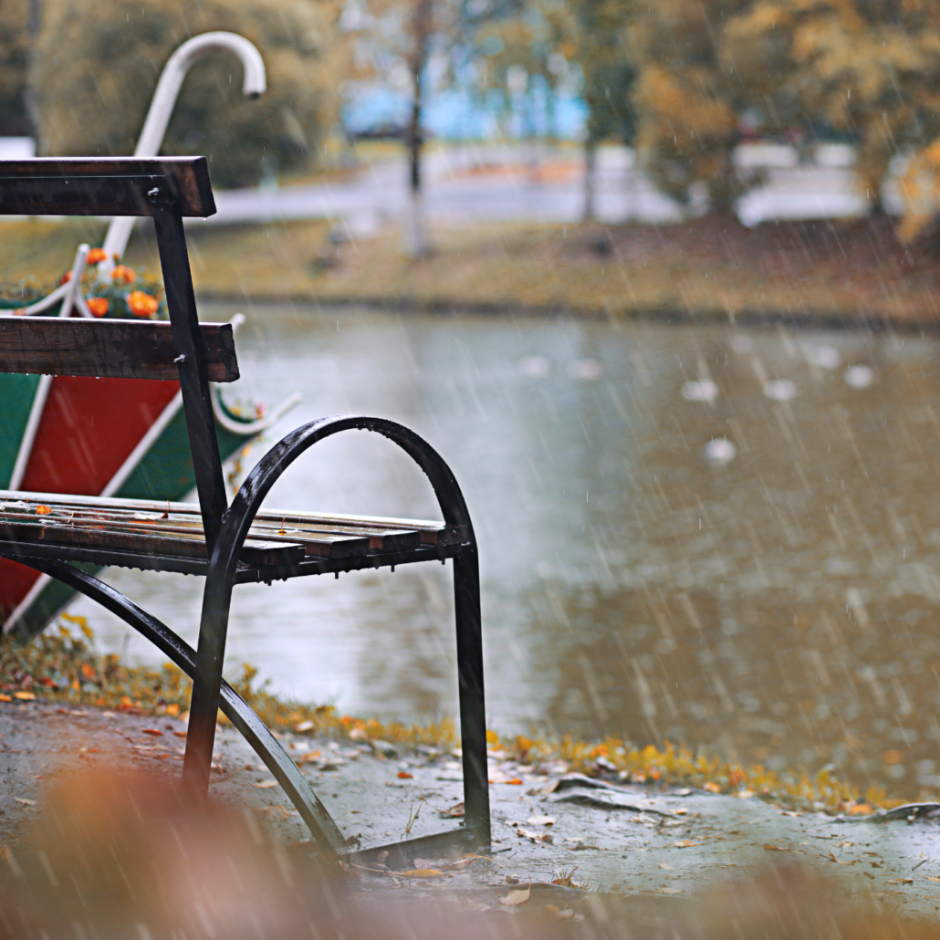A park bench in the rain