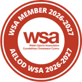 wsa